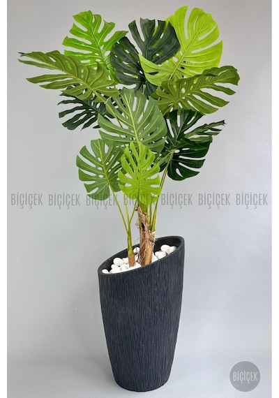 Yapay Monstera Ağacı Deve Tabani 190 Cm Antresi T Datça Saksıda Antresit