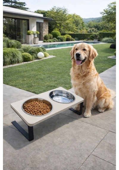Reyo Ok-ay Store Radessa Xl Yüksek Standlı Çift Hazneli Mama Ve Su Kabı, Büyük Ve Orta Boy Köpek Ve Kedi Su Kabı Paslanmaz Çelik Krem