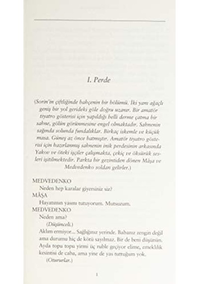 Martı: Modern Klasikler Serisi