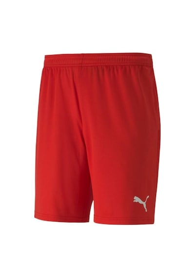 Puma 704262 Team Goal 23 Knıt Shorts Kırmızı 001