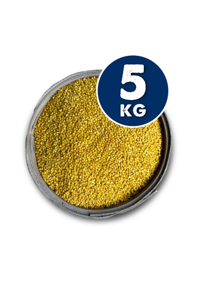 Kanıtemiz Yerli Sarı Mercimek 5 Kg