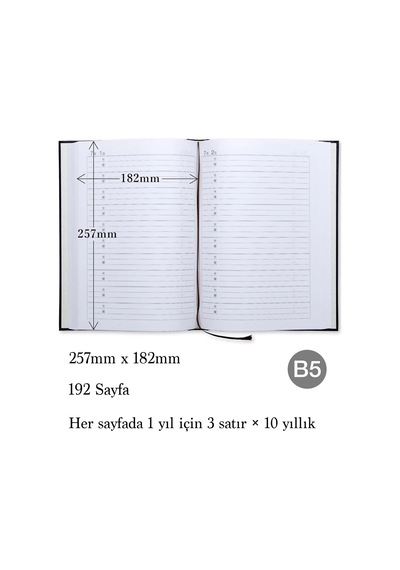 Apica B5 10 Yıllık Günlük Siyah D305