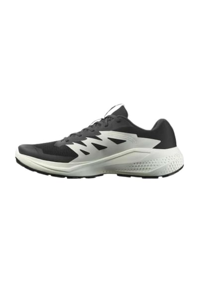 Salomon Alphaglide L47801000 Siyah Koşu&yürüyüş-13303 Siyah