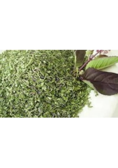 Kurutulmuş Yeşil Reyhan 100 G