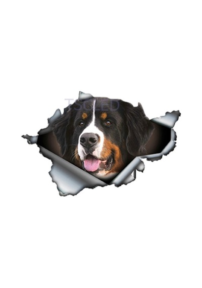 Bernese Dağ Köpeği Yırtık Metal Araba Sticker Su Geçirmez