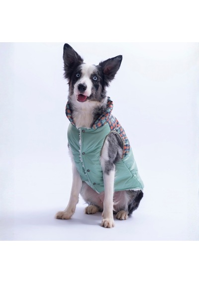 Yeşil Plaid Ekose Desen Yelek Büyük Irk Köpek Yeleği Köpek Kıyafeti Köpek Yağmurluk