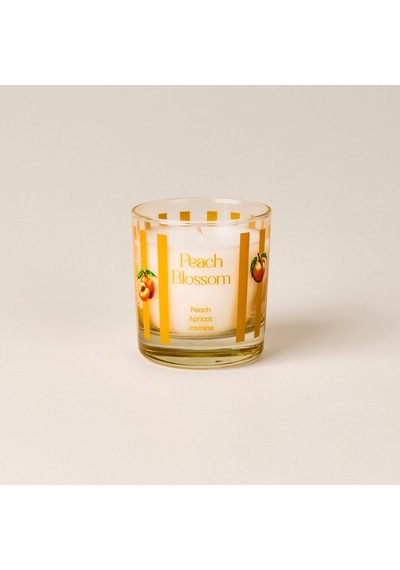 Deco Peach Blossom Bardak Mum - Renkli - 190 Gr Çok Renkli