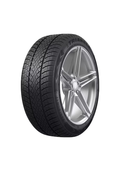 Triangle 205/50 R17 93V XL Tw401 Kış Lastiği 2024