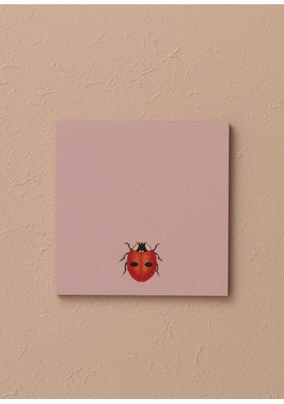 The Mia Art Line Mini Notluk Belladonna 10 X10cm 40 Yaprak