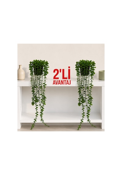 2'li Modern Saksı Yapay Sarkıt Çiçek Okaliptus Ev Dekoru Yeşil Yeşil