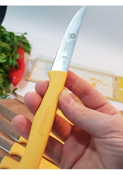 Sürbisa Meyve Takımı Sarı 6'lı 61007 7.0 Cm Çok Renkli