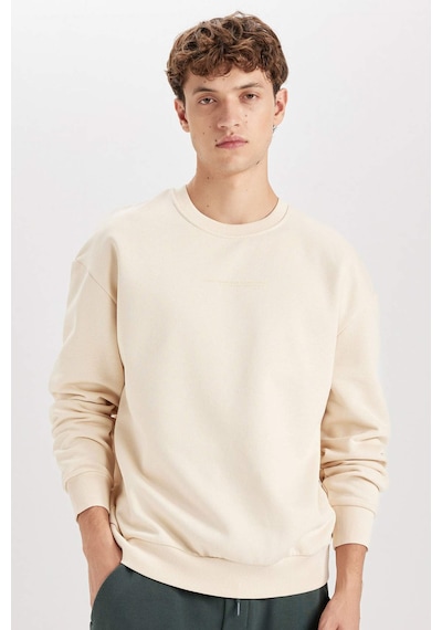 DeFacto Boxy Fit Bisiklet Yaka Baskılı Sweatshirt X8282AZ24AUBG700 Bej