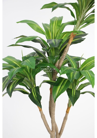 Yapay Ağaç Lüx 4 Gövdeli Cordyline 180 Cm Yeşil-sarı