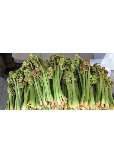 Erzincan Yöresel Işkın Otu 1 KG