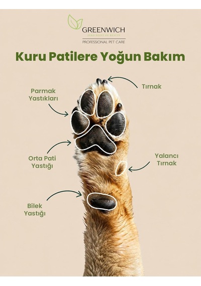 Greenwich Kedi Ve Köpek Pati Ve Burun Balmı 50 Ml %86,90 Organik İçerikli Vegan Bakım Balmı