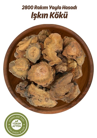 Yörem Afyon Meşhur Erzurum Yöresinden 2800 Rakım Yayla Hasadı Hakiki Işkın, Işgın Kökü Rheum Ribes 130gr.