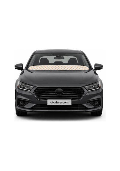 Oem Monogram 2'li Torpido Ve Pandizot Koruyucu Havlu Seti