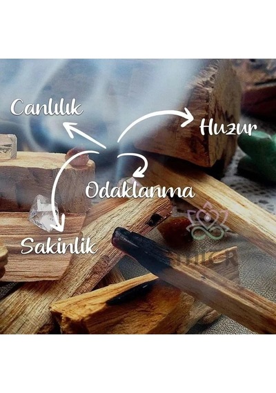 Tedi Sanat Dekoratif 3' Lü Yüz Biblo Soyut Heykel Dekoratif Obje
