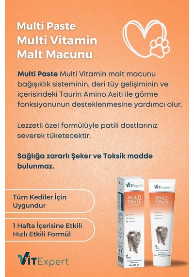 Multi Paste Tüm Kediler Için Multi Vitamin Bağışıklık Ve Tüy Sağlığı Tamamlayıcı Malt Macun 100 Gr