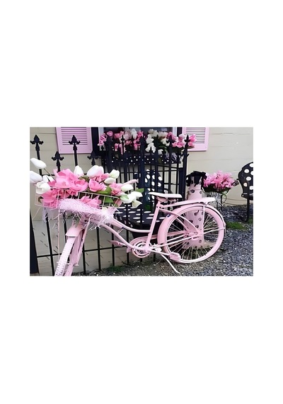 Kapı Önü Paspası Dijital Baskılı Pembe - 930725406 Pembe