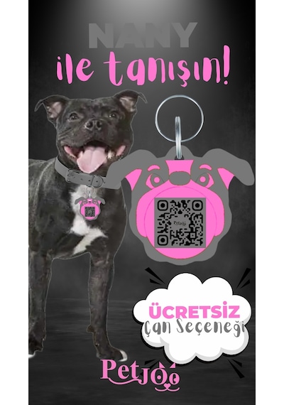 Petjoo 17.Nany Pembe-Gri Qr'lı Köpek Künyesi