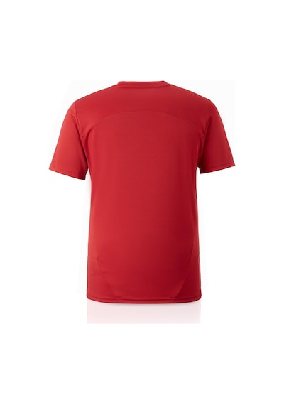Galatasaray Kırmızı Puma A Takım Antrenman 5 Yıldız T-shirt Kırmızı