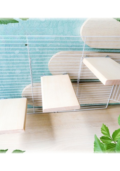 4'lü Set Doğal Kavak Ağacı Chinchilla Platformu - Sıçan, Muhabbet Kuşu, Hamster İçin Kafes Aksesuarı