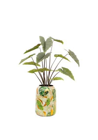 Lush Botanic Xl Saksı