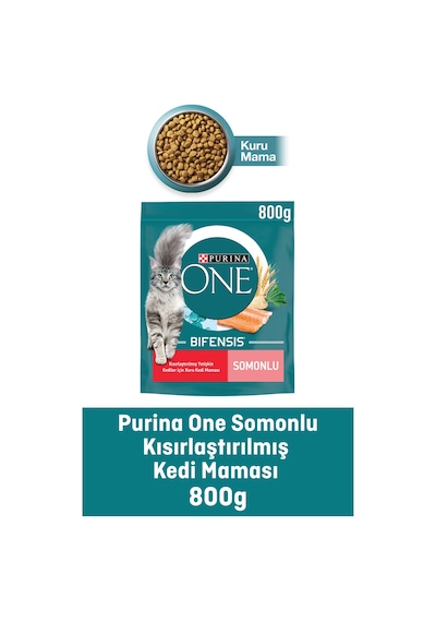 Purina One Somonlu Kısırlaştırılmış Yetişkin Kedi Maması 800 G
