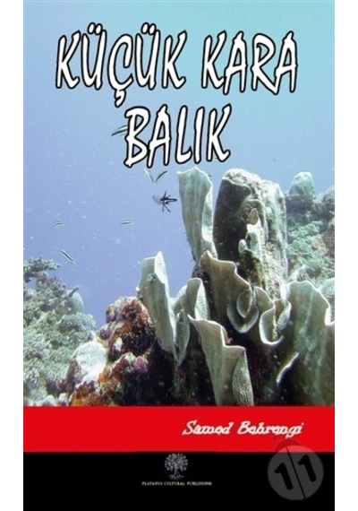 Küçük Kara Balık - Samed Behrengi - Platanus Publishing