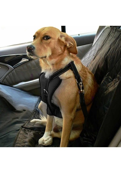 Köpek Araç Emniyet Kemeri Ve Tasması Arnav Siyah, S