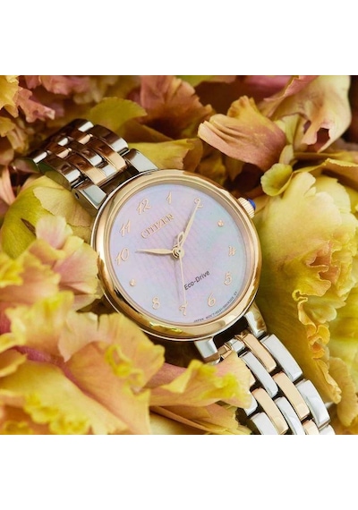 Citizen Em0996-84y Eco-drive Kadın Kol Saati Metalik Gri