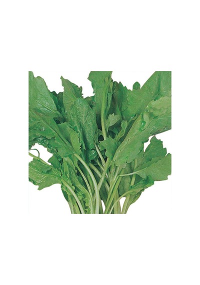 Tere Tohumu Yerli 10 GRam