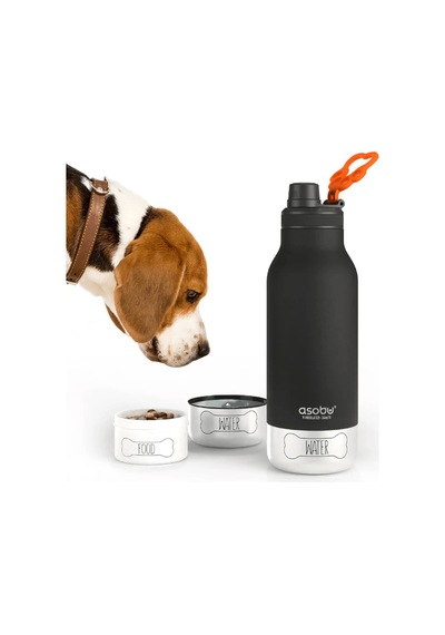 Asobu Barky Bottle - Pastel Blue Çok Renkli
