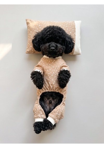 Latte Sprinkles Köpek Uyku Takımı Pamuklu Penye Köpek Tulumu Ve Mini Yastık Küçük Irklar İçin Tüy Dökülmesini Azaltır