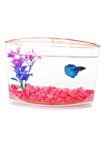 Bölmeli Izgaralı Betta Beta Kabı Tankı Akvaryum 1800 Ml - 19x8x13 Cm Pembe