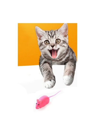 Kedi Eğitim Oyun Faresi Sesli 2 Adet Kedi Egzersiz Oyuncağı