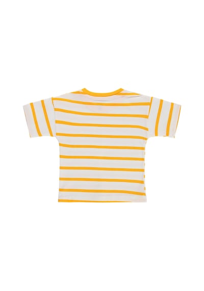 Civil Baby Çizgili 6-18 Ay Tişört - Hardal