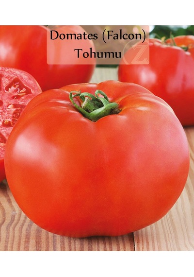 6 Paket Tohum No9 Halep Karası Patlıcan Tohumu Salatalık Domates Tatlı Acı Kıl Biber Maydanoz Tohumu 1 Set