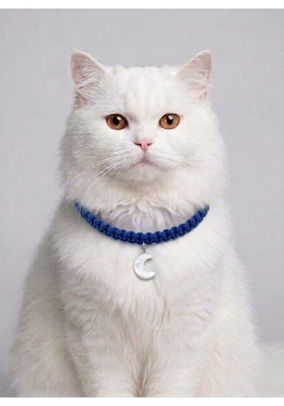 Lacivert El Örgüsü Makrome Kedi Tasması 27 Cm - Ay Figürlü Charm Şık Kedi Boyun Tasması