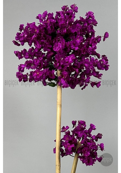 Biçiçek Yapay Mor Sakura Ağacı 125 Bahar Dalı Krem Nergi̇s Saksıda