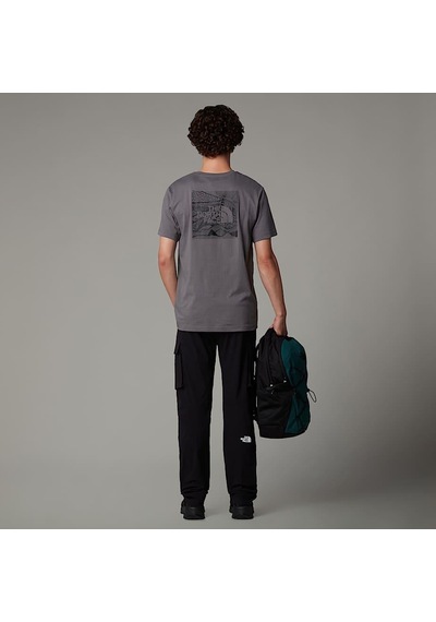 The North Face M Ss Box Nse Celebratıon Tee Smoked Renkli