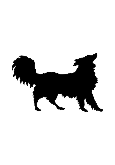 Folyo Sticker Köpek 160cm Uzunluk Siyah
