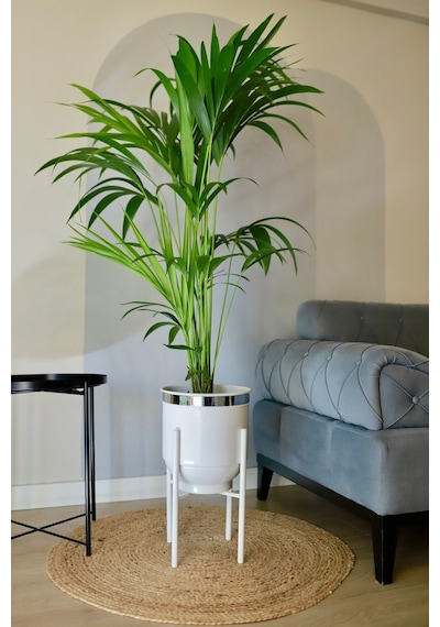 Metal Saksı Ayaklı Çiçeklik Dekoratif Beyaz Saksı Gümüş Detay Vazo Saksılık 50x30cm