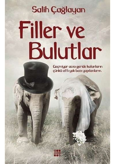 Filler ve Bulutlar - Salih Çağlayan - Dokuz Yayınları