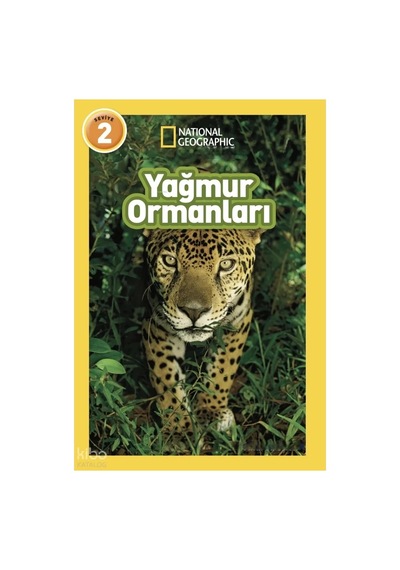 Doğal Yağmur Ormanları Temalı 1 Adet Dekoratif Ürün