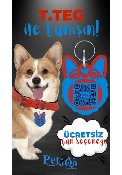 Petjoo 15.T.Teg Mavi-Kırmızı Qr'lı Köpek Künyesi