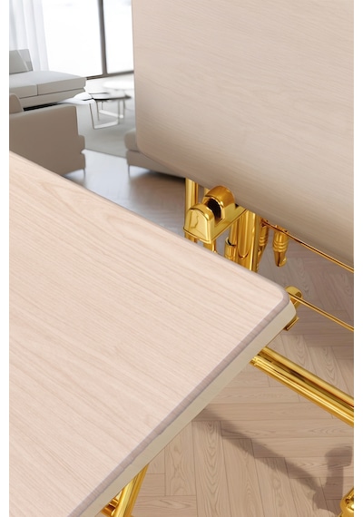 Eranş Serisi 4'lü Katlanır Mdf Mebran Ahşap Çanta Zigon Sehpa Gold Ayak Açık Ahşap Desen Gold Ayak