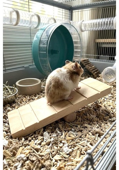 Tr Hamster Oyuncağı Tahtıravalli - Doğal Ahşap - 20x7 Cm