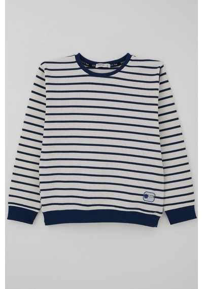 Breeze Erkek Çocuk Sweatshirt Arma Detaylı 4-10 Yaş, Beyaz